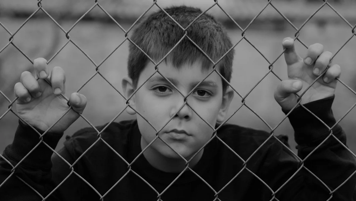 260 DAYS featured image